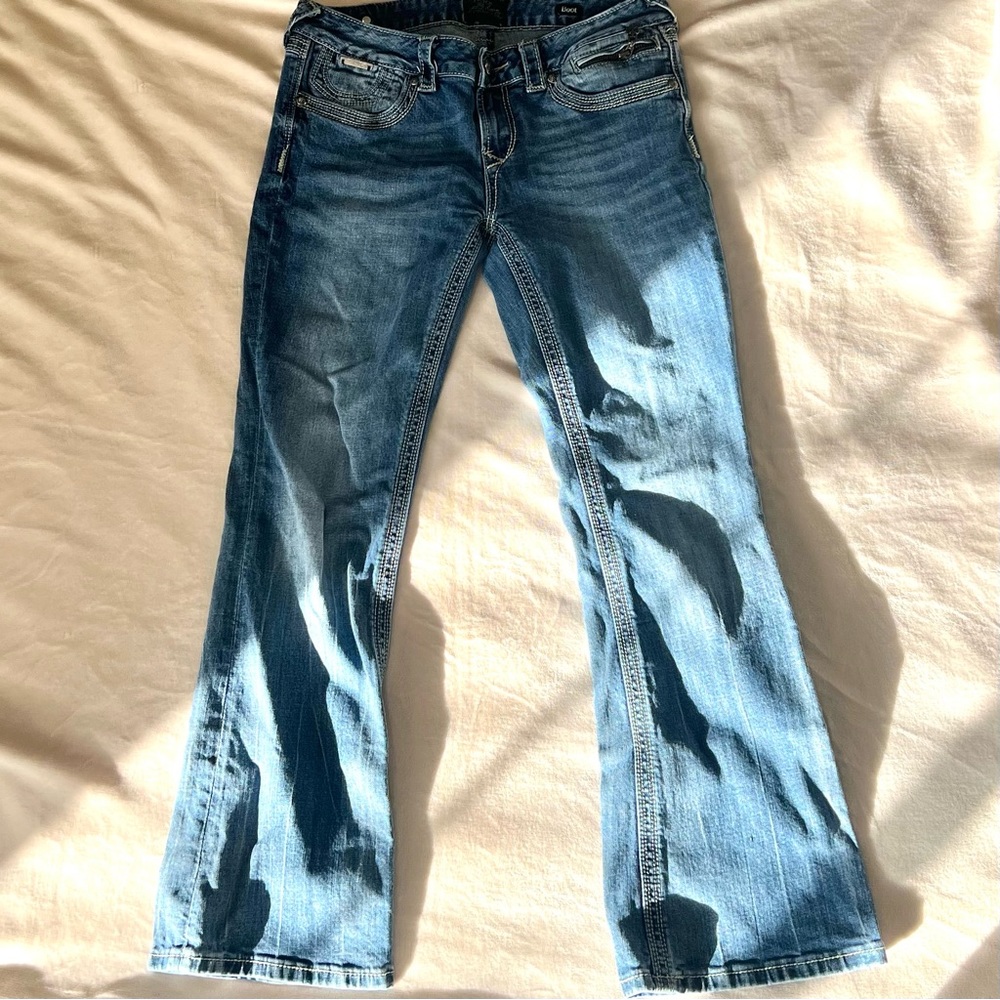 ReRock for express flare jeans (house with pets)
